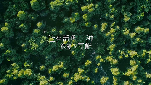 项目宣传片